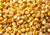 Channa Daal (Split Black Chickpeas)
